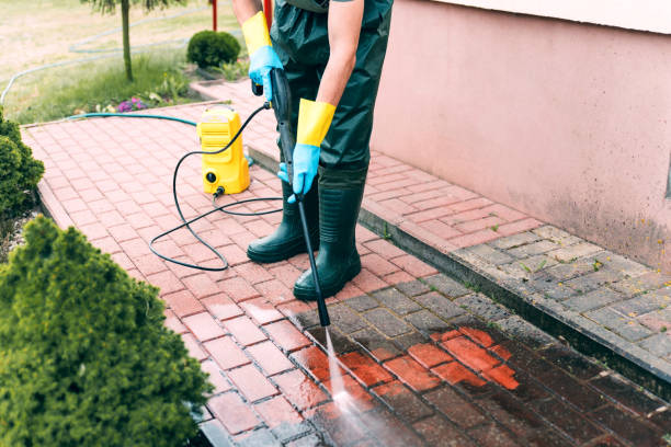 Best Soft Washing for Delicate Surfaces in University Heights, OH