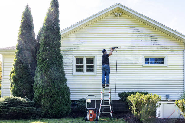 Best Window and Screen Pressure Cleaning in University Heights, OH